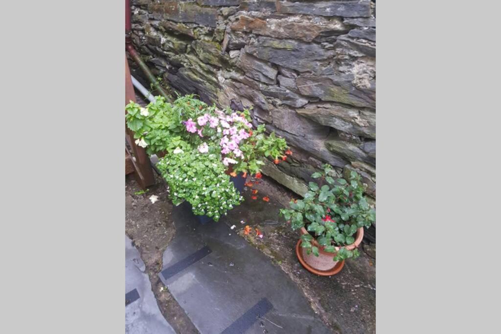 Porthmadog Harbour Town - High Street Apartment. Bagian luar foto